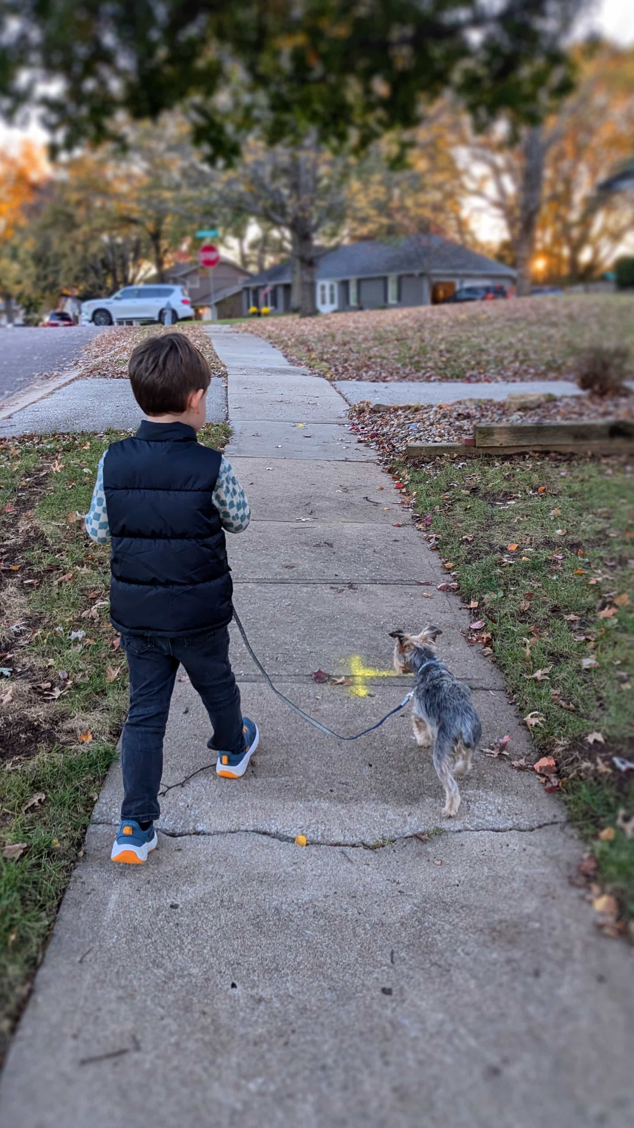 Our son, around age 5, walks Griff on his own on the sidewalk, the two of them side by side
